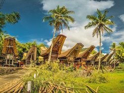 Sejour Bali : Destination Sulawesi