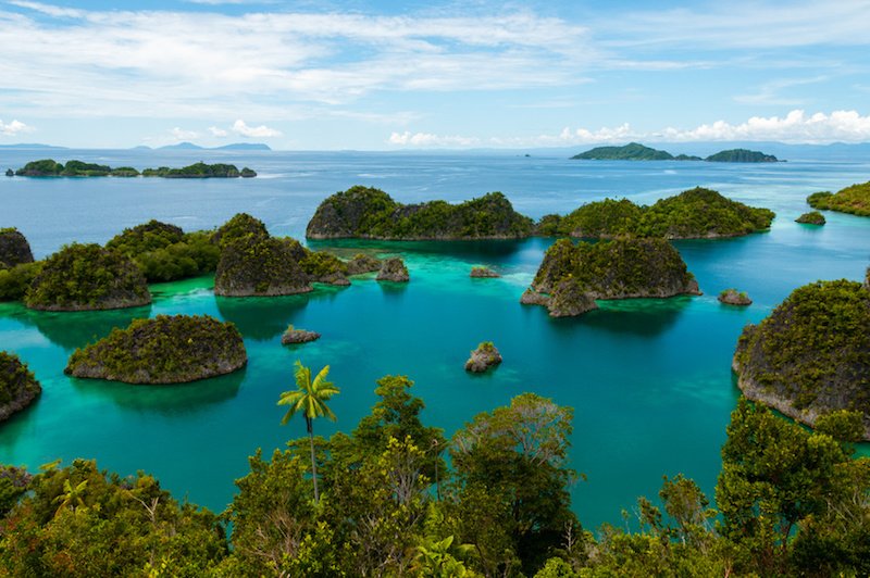 Croisière plongée ou snorkeling aux Raja Ampat