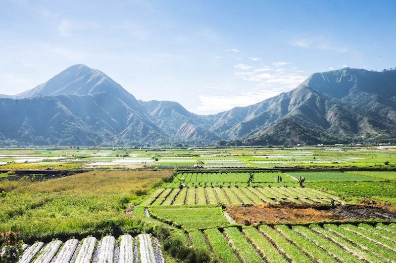 Lombok : La vallée de Sembalun