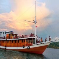 Komodo, bateaux de catégorie standard