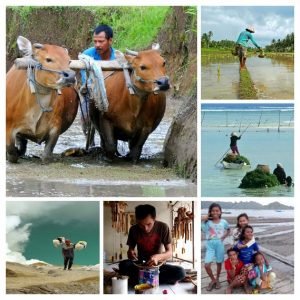 Voyage Bali avis : Découverte de la vie locale