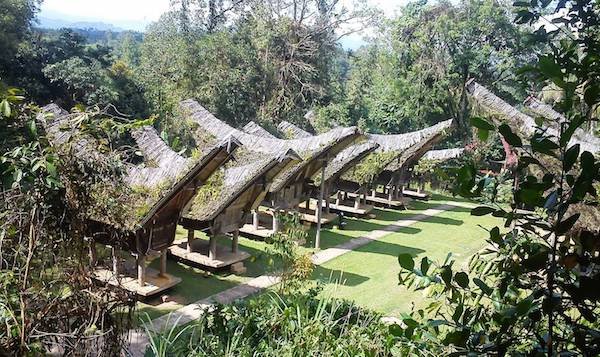 Indonesia, le fabuleux Pays Toraja