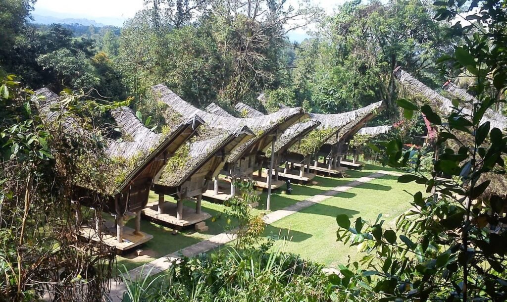 Le Pays Toraja, célèbes