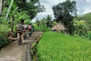 Balade à vélo dans le Bali traditionnel